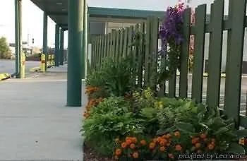 O'hare &